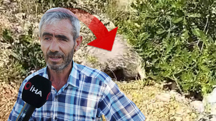 Dünyanın en korkusuz hayvanı Malatyalıya denk geldi: Saldırısına uğrayınca bayılttı