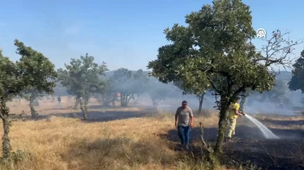 Çanakkalede zirai arazi yangın