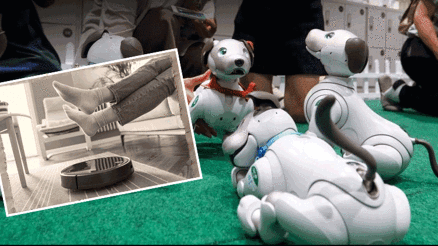 Robot süpürgeler geçmişte kaldı: Yeni asistanlar tehlikeli olabilir Robot süpürgeler geçmişte kaldı: Yeni asistanlar tehlikeli olabilir