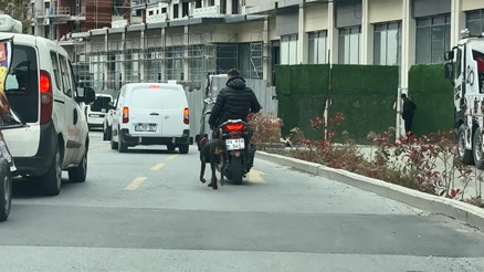 Yürek sızlatan görüntü Motosiklete bağladığı köpeği metrelerce koşturdu: 8 bin 678 lira ceza kesildi Yürek sızlatan görüntü Motosiklete bağladığı köpeği metrelerce koşturdu: 8 bin 678 lira ceza kesildi