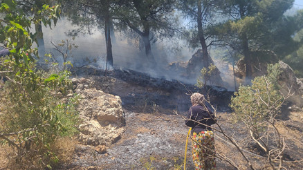 Kahramanmaraş’ta orman yangını