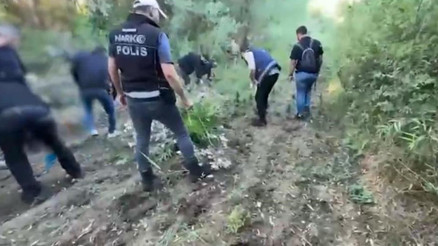 UNESCO Dünya Mirası Listesindeki Hevsel Bahçelerinde 12 bin 174 kök Hint keneviri ele geçirildi