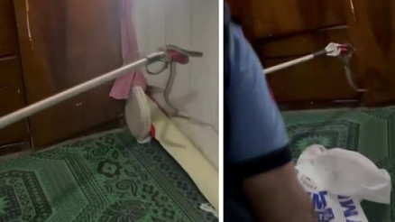 Eve giren yılan paniğe neden oldu İtfaiye ekipleri yakalayarak doğaya saldı