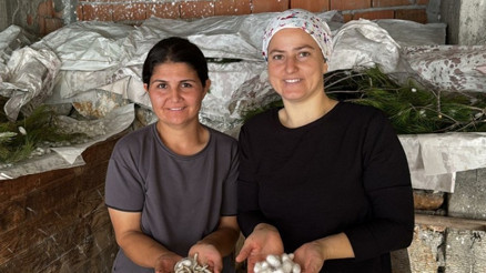 İpek böcekleri aile geçindiriyor