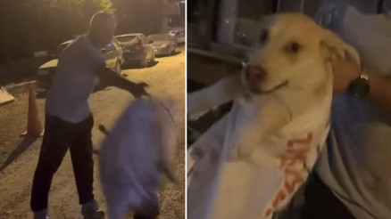 Hatayda köpeği çuvala koyularak götürülmek istenen köpeği, hayvansever kadın kurtardı