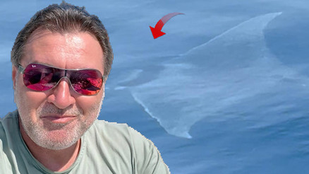 Çanakkalede 2 metre uzunluğunda şeytan mantası görüldü: Biz onu izledik, o bizi izledi