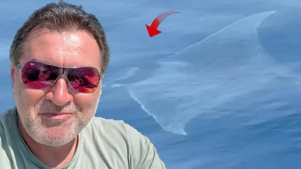 Çanakkalede 2 metre uzunluğunda şeytan mantası görüldü