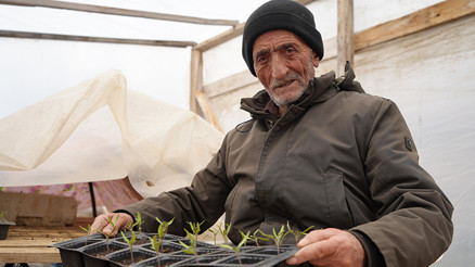 Bayburtlu çiftçi ata tohumlarını yaşatmak için ücretsiz fide dağıtıyor
