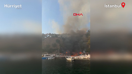 Büyükadada plajda yangın çıktı