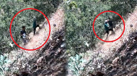 Kenevirlerin bakımını yaparken fotokapana yakalanan CHP ilçe başkanı ve oğluna gözaltı