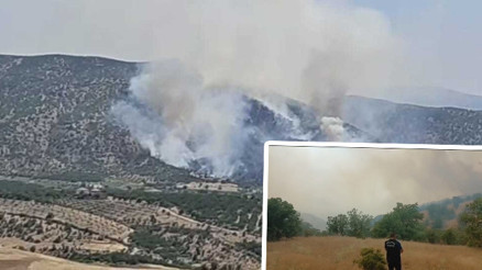 Malatyada orman yangını Ekipler müdahale ediyor