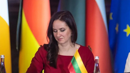 Litvanyadan Türkiyeye övgü: Takdirle karşılıyoruz