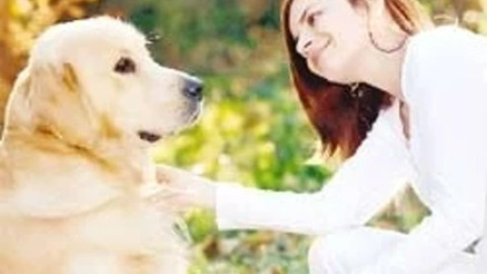 İnsan ve köpek arasındaki dostluk tüm dünyada aynı
