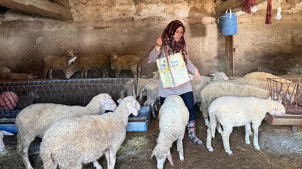 Eskişehirde büyü iddiasıyla öldürülen çiftçinin eşi, iki oğlunu okutmak için tek başına çobanlık yapıyor