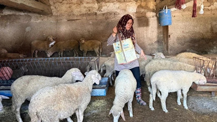 Eskişehirde büyü iddiasıyla öldürülen çiftçinin eşi, iki oğlunu okutmak için tek başına çobanlık yapıyor