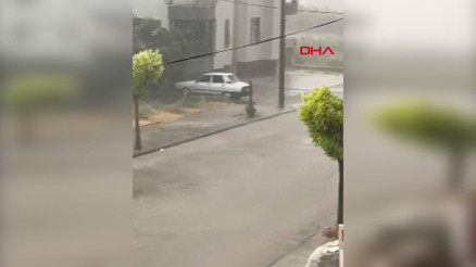 Osmaniye’de sağanak ve fırtına; ağaçlar devrildi