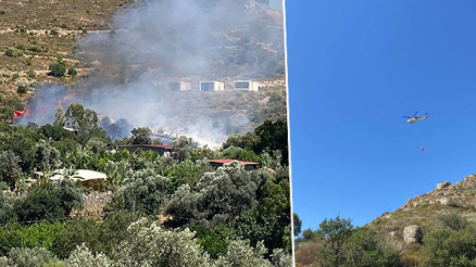 Bodrumda otluk ve makilik alanda yangın