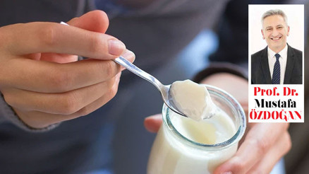 Gıda koruyucuları ve kanser: Uzun soluklu bir tartışma