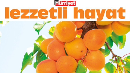 Tavuğa da kebaba da yakışır Tavuğa da kebaba da yakışır
