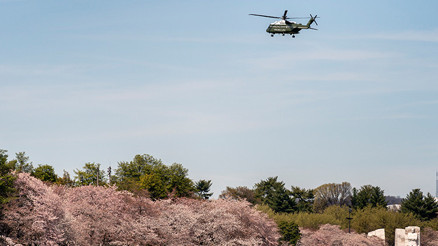Washingtonda askeri helikopter paniği