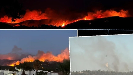 Milasta orman yangını