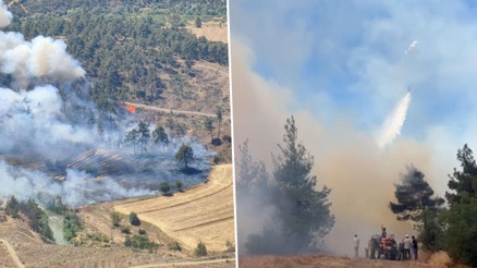 Bursada otluk alanda çıkan yangın ormana sıçradı: Soğutma çalışmaları sürüyor