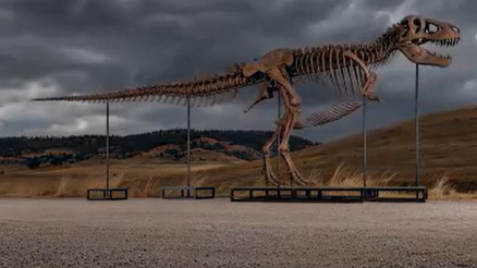 ABDdeki açık artırmada dinozor iskeletine rekor fiyat
