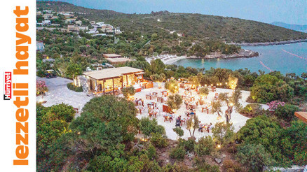 Bir balık restoranı denizi kurtarmaya karar verirse…
