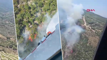Son dakika... İstanbul dahil 4 ilde yangın çıktı