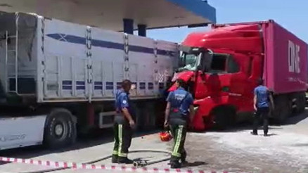 Kabine giren arı faciaya yol açıyordu Alerjisi olan şoför bayılınca TIR istasyona daldı