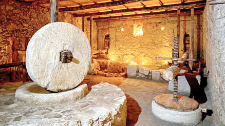 Syedra’nın zeytinyağı