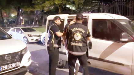 Köstebeklerin milyarlık ağı Köstebeklerin milyarlık ağı