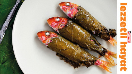 Asma yaprağının binbir hali