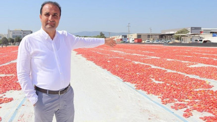 100 ülke Torbalı domatesi yiyecek