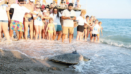 Engelli caretta takipte