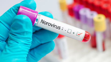 Norovirüs alarmı: Dondurulmuş orman meyveleri geri çağrılıyor
