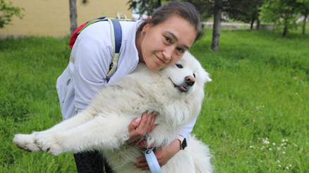 Trafik kazasında ölen Gofret için tazminat kararı Köpeğimi kaybettim ama mücadelem sonuç verdi