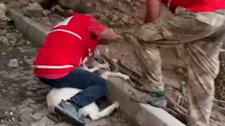 Türk Kızılay, orman yangınlarında 26 noktada sahada