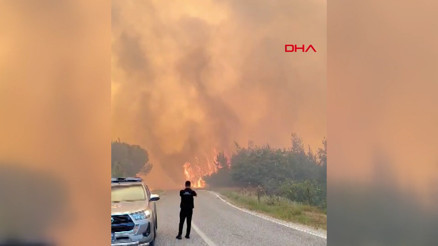 Balıkesir Susurluktaki orman yangınında alevler yerleşim yerlerine yaklaşıyor