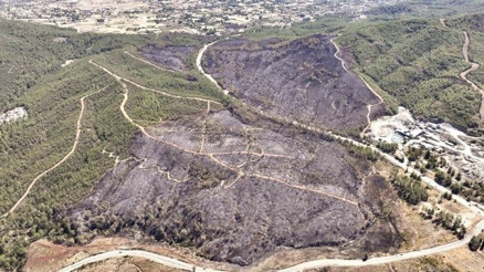 Balıkesir’de 2 kişi tutuklandı… Ormanı kaynakla yakmışlar