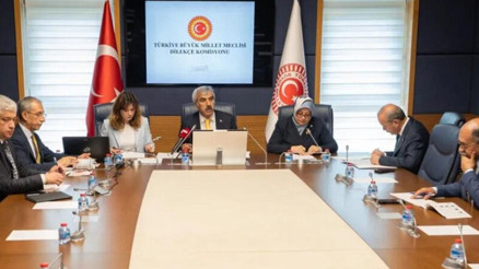Meclise ilginç başvurular: İstanbul kışlık, Ankara yazlık başkent olsun