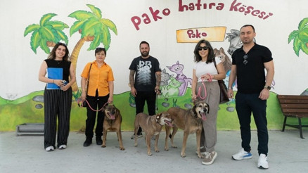 Patili dostlar iş başında