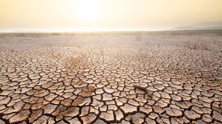 El Nino 50 milyon insanı aç bırakacak