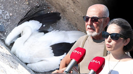 İstanbulda korkunç görüntü 52si öldü, 5i yaralandı | Bu facia devam edecek