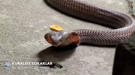İlginç rotaların adresi