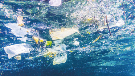 Akdeniz’de plastik alarmı Akıntılarla Alanya’ya taşınıyor