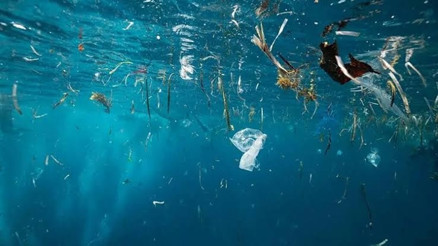 Mikroplastik kirliliği için Sıfır Atık Vakfı harekete geçti Mikroplastik kirliliği için Sıfır Atık Vakfı harekete geçti