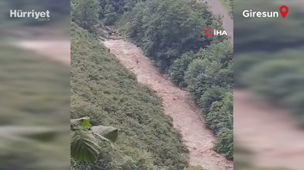 Giresunda sel faciası Piknik yapan aileyi sel suları sürükledi: 1 kişi hayatını kaybetti, anne ve kızı kayıp