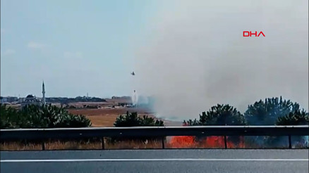 Silivride tarlada yangın