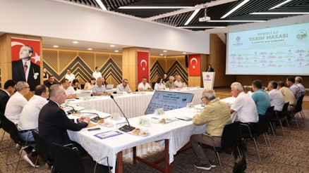 Ortak akıl dönemi